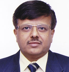 SS Bhat - CEO, Friends of Women's World Banking (FWWB)